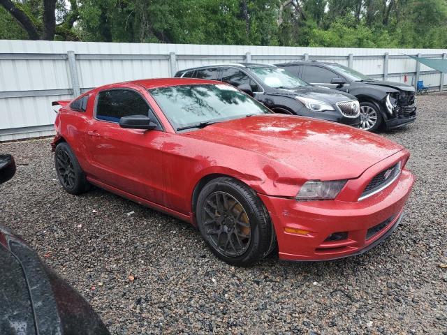 Vin: 1zvbp8am4d5256071, lot: 56126295, ford all models 20134