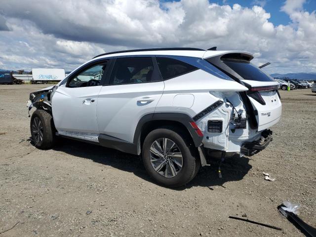 Vin: km8jbca19pu100684, lot: 56344205, hyundai tucson blue 20232