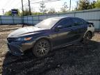 Top Destinations for Shipping Cars from the USA