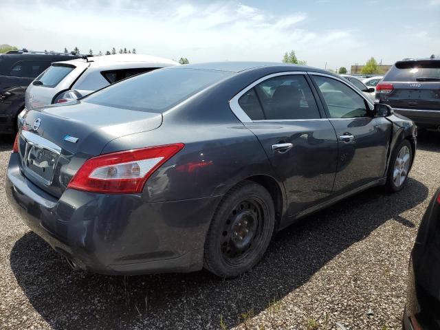 Vin: 1n4aa5ap4bc828845, lot: 58558205, nissan maxima s 20113