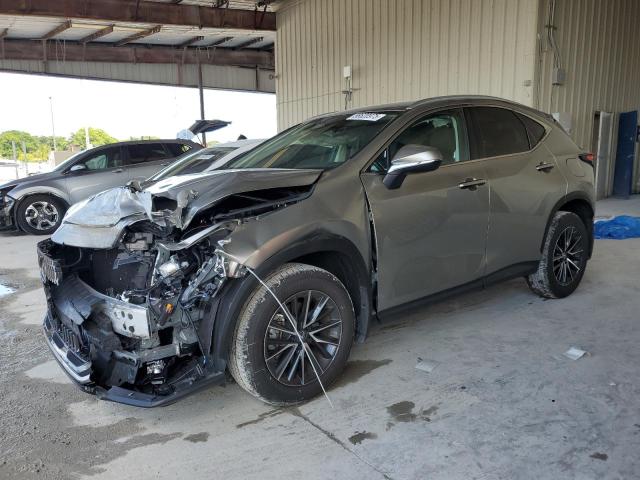 LEXUS NX 250 BAS