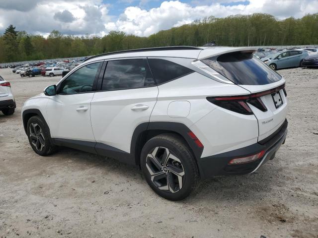 Vin: 5nmjecae6ph249379, lot: 56233675, hyundai tucson limited 20232