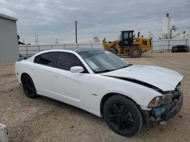 Vin: 2c3cdxdt6dh707298, lot: 57728175, dodge charger r/t 20134