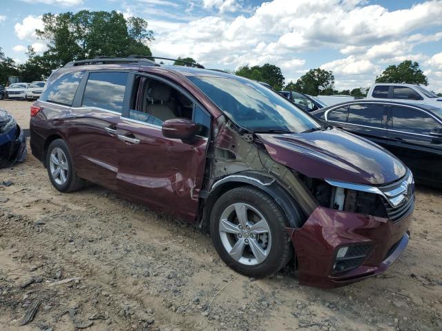 Vin: 5fnrl6h74kb030545, lot: 55610195, honda all models exl 20194