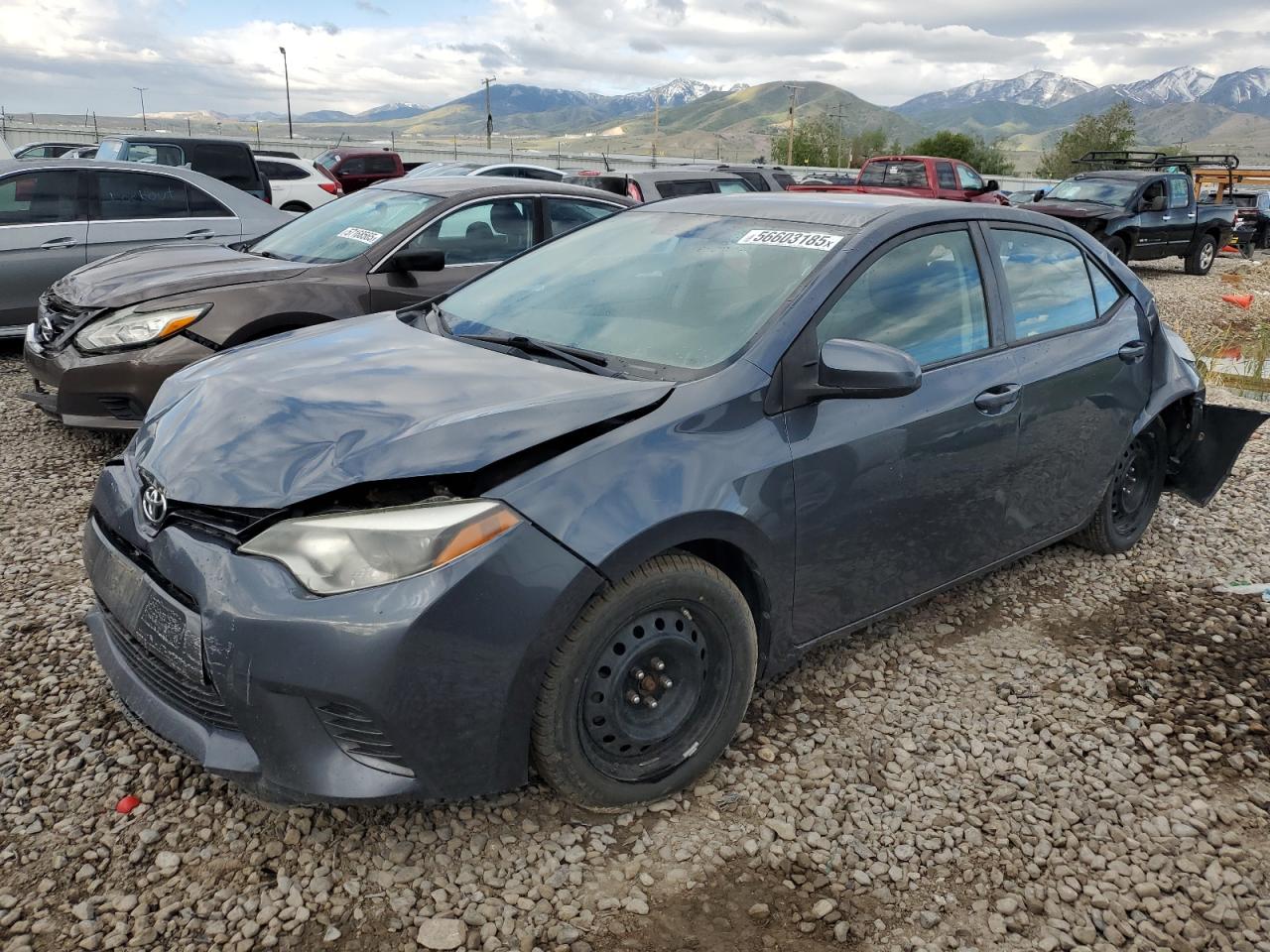 TOYOTA COROLLA L