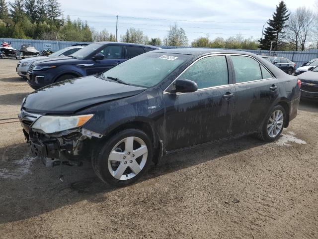 Vin: 4t1bd1fk3eu129938, lot: 56304275, toyota camry hybrid 2014 img_1
