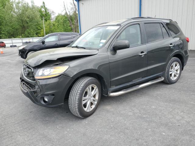 Vin: 5nmskdag1ah385334, lot: 57407135, hyundai santa fe limited 2010 img_1