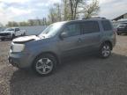 Top Destinations for Shipping Cars from the USA
