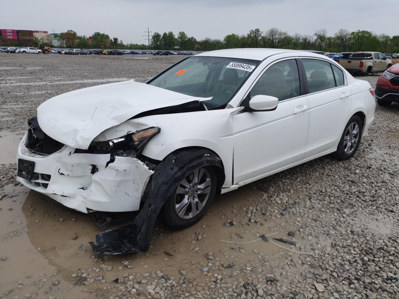HONDA ACCORD SE