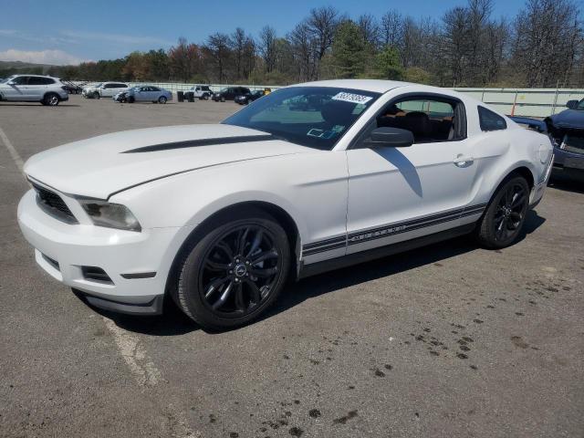 Vin: 1zvbp8amxc5210954, lot: 56379365, ford all models 2012 img_1