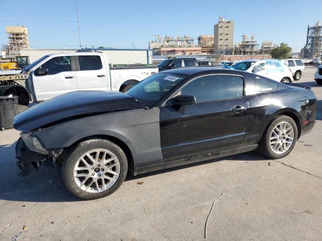 Vin: 1zvbp8am6d5262468, lot: 56438465, ford all models 2013 img_1