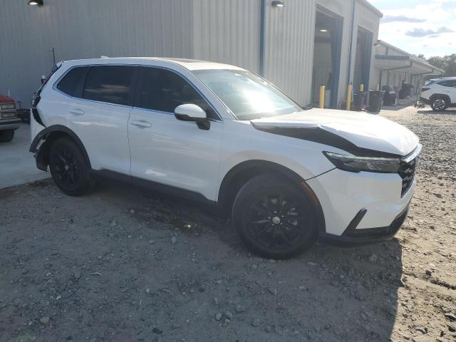 Vin: 5j6rs3h79rl009354, lot: 55649235, honda crv exl 20244