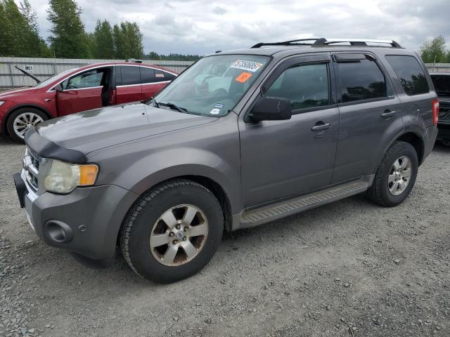 Global Auto Auctions: 2010 FORD ESCAPE