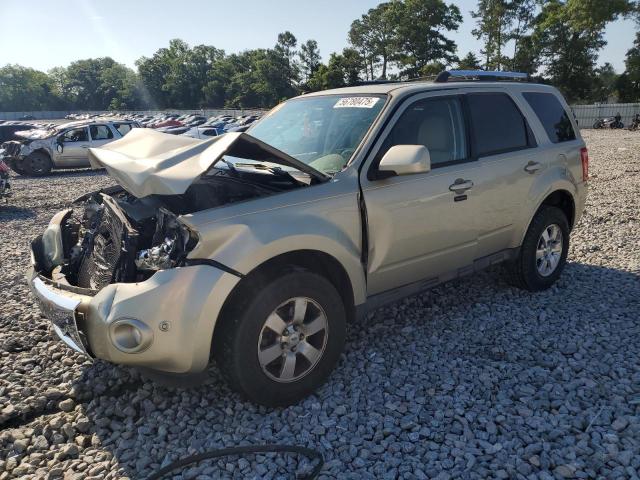 Vin: 1fmcu9egxakd37028, lot: 56780475, ford escape limited 2010 img_1