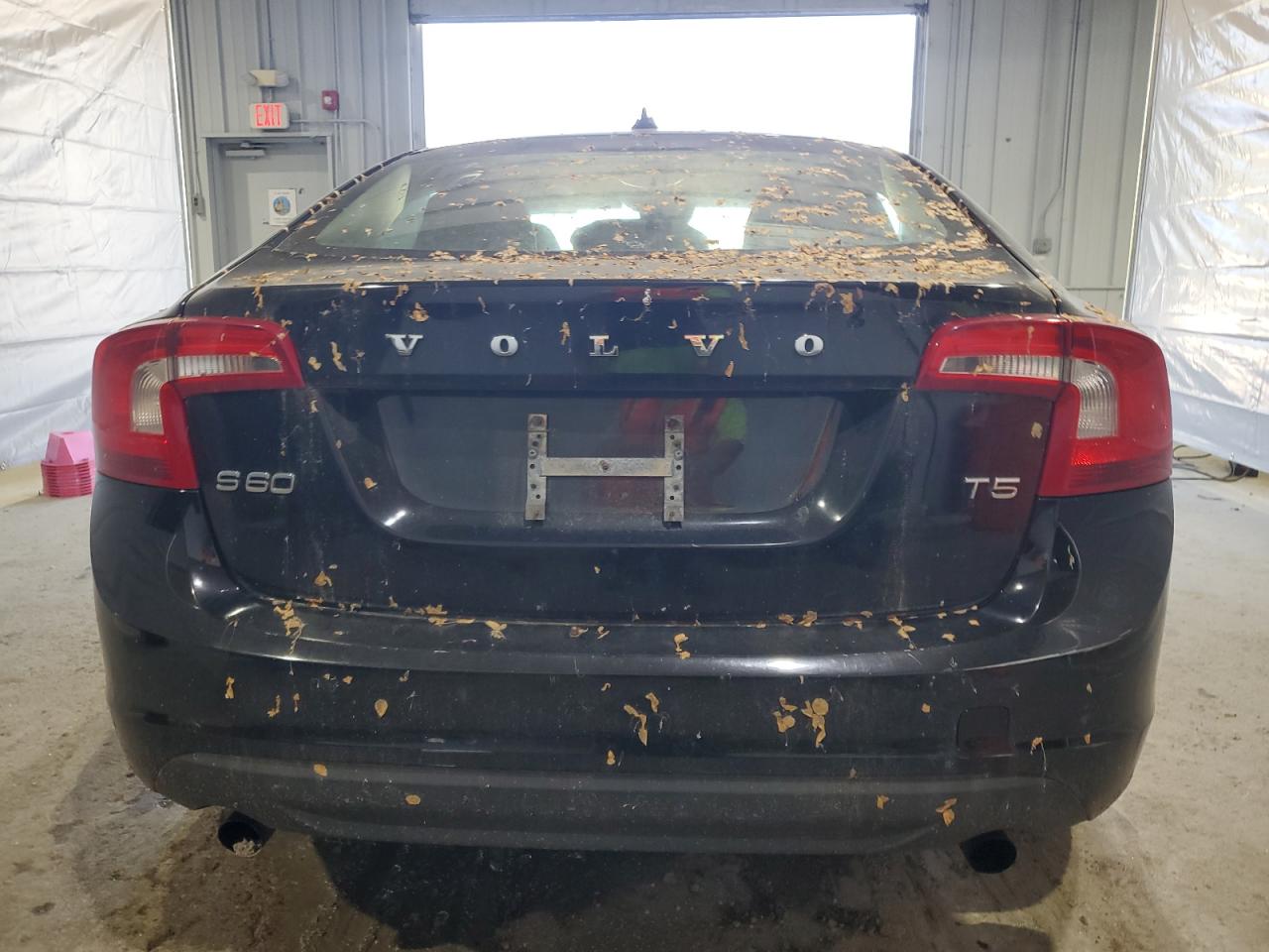 Global Auto Auctions