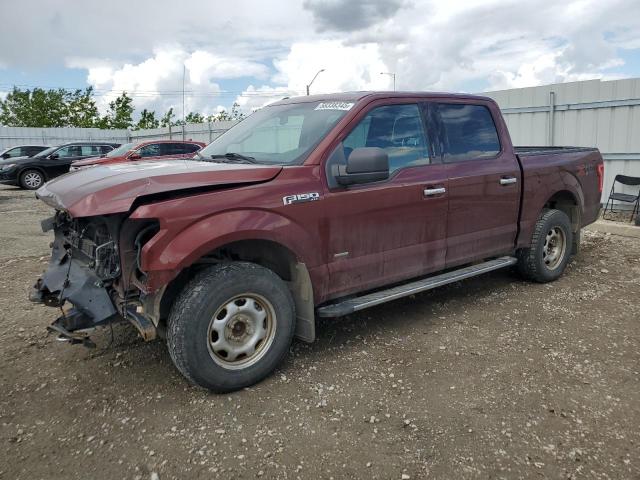 Vin: 1ftew1eg6gkf28706, lot: 58338345, ford f-150 supercrew 2016 img_1