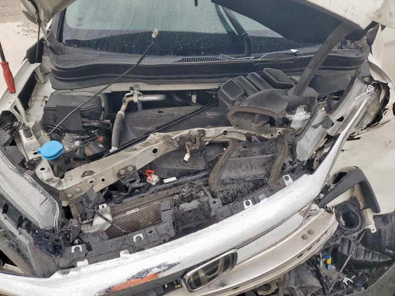 2019 HONDA PILOT EXL - 5FNYF5H57KB039493