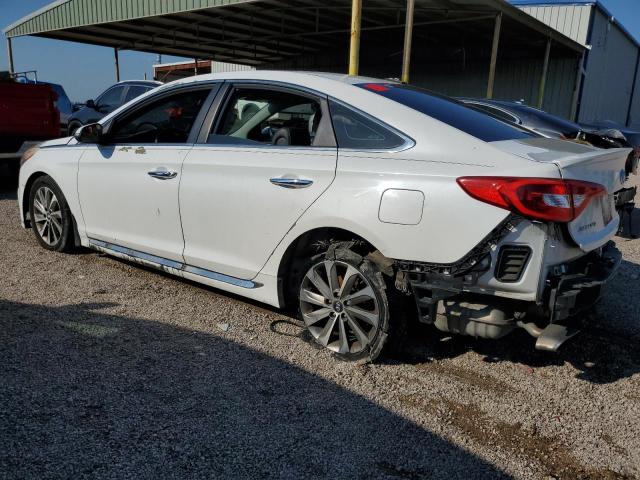 2017 HYUNDAI SONATA SPO - 5NPE34AF6HH440228