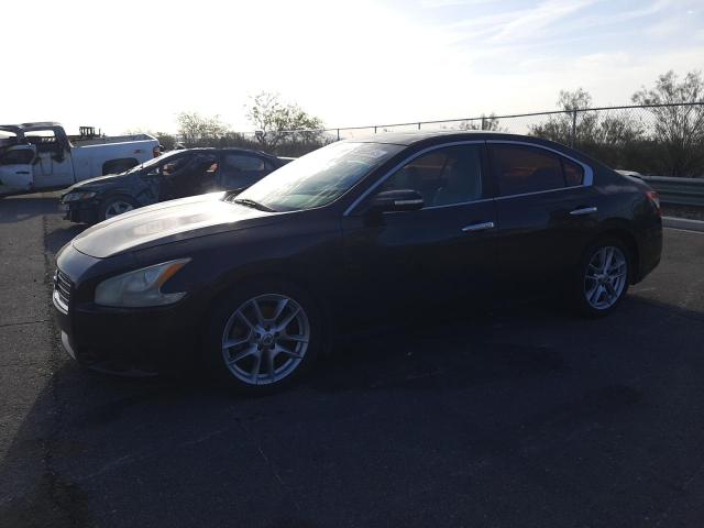 Vin: 1n4aa5ap4ac847765, lot: 58555505, nissan maxima s 2010 img_1