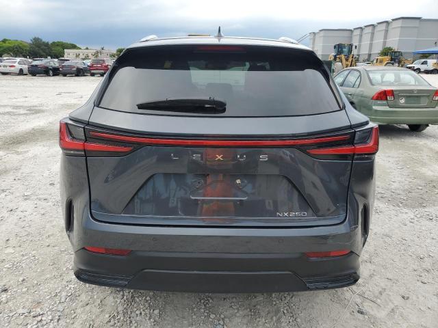 2024 LEXUS NX 250 PRE 2T2GDCAZ2RC007063