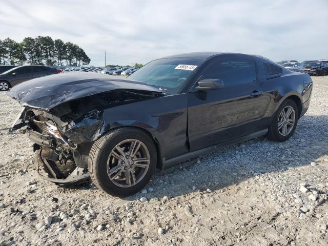 Vin: 1zvbp8an9a5181890, lot: 55885715, ford all models 2010 img_1