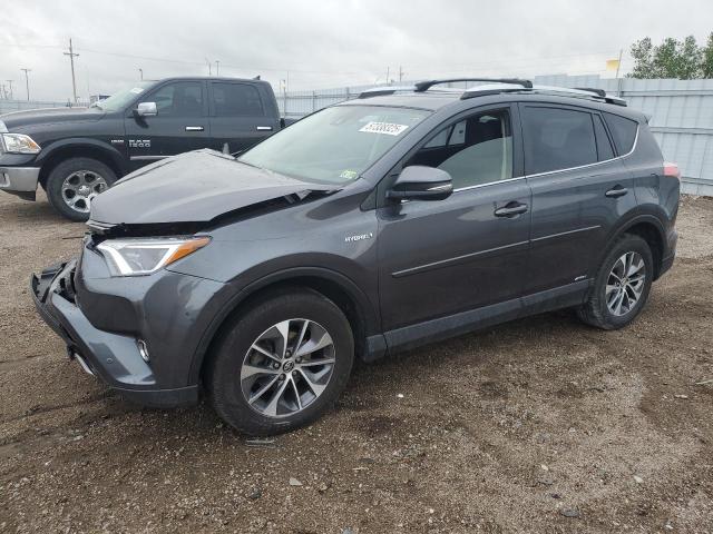 Vin: jtmrjrev5gd056628, lot: 57338325, toyota rav4 xle 2016 img_1