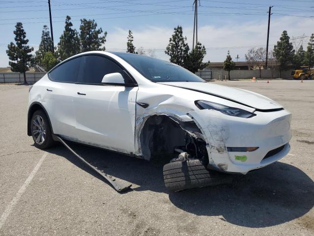 2023 TESLA MODEL Y 7SAYGDEE3PA065754