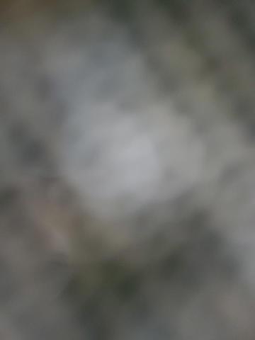 2013 KIA SORENTO LX #3178745446