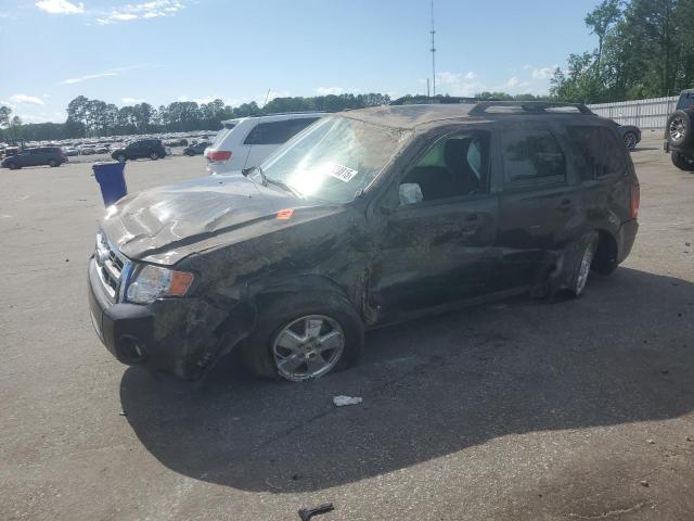 Vin: 1fmcu0d7xbkb47485, lot: 57828815, ford escape xlt 2011 img_1