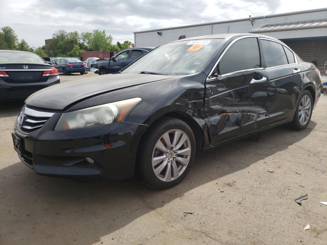 HONDA ACCORD EXL