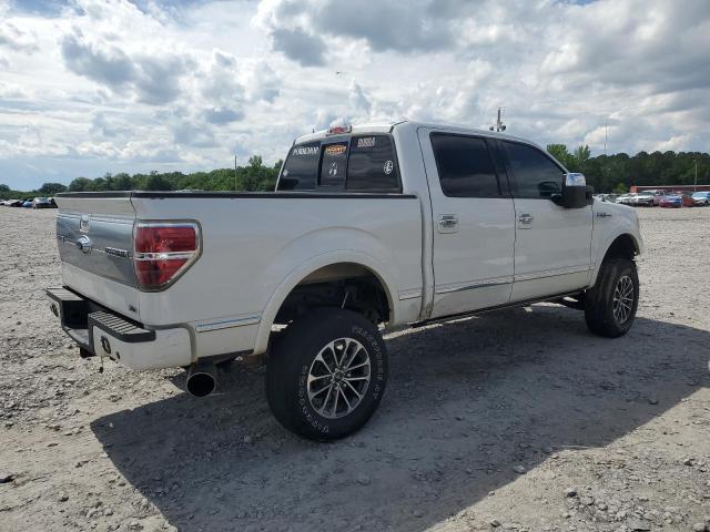 Vin: 1ftfw1ev2afa47970, lot: 54952785, ford f-150 supercrew 20103