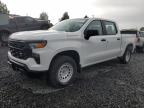 2024 CHEVROLET SILVERADO - 1GCPDAEK3RZ321896