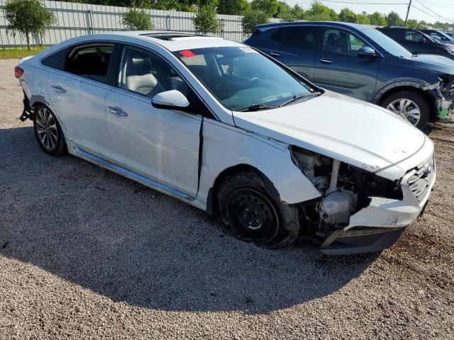 2017 HYUNDAI SONATA SPO - 5NPE34AF6HH440228