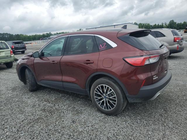 Vin: 1fmcu0ezxmub22013, lot: 58973575, ford escape se 20212