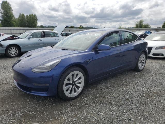 Vin: 5yj3e1eb9pf600798, lot: 57324105, tesla model 3 2023 img_1