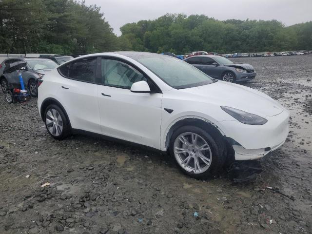 Vin: 7saygdee3ra283311, lot: 56925505, tesla model y 20244