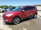 Top Destinations for Shipping Cars from the USA