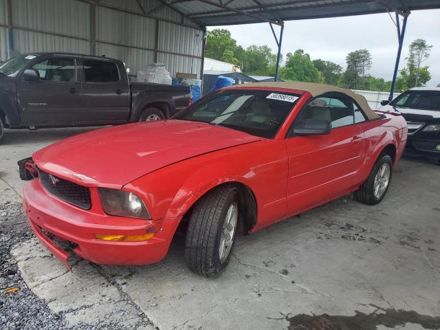FORD MUSTANG 2008 red  gas 1ZVHT84N885153378 photo #1