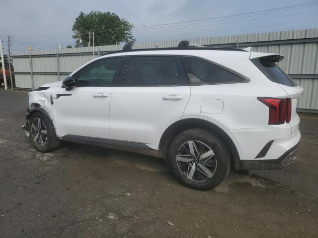 Vin: 5xyrh4lf4mg031145, lot: 56647715, kia sorento ex 20212