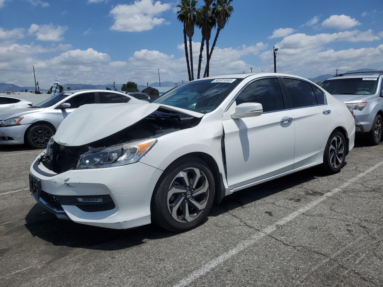 HONDA ACCORD EXL