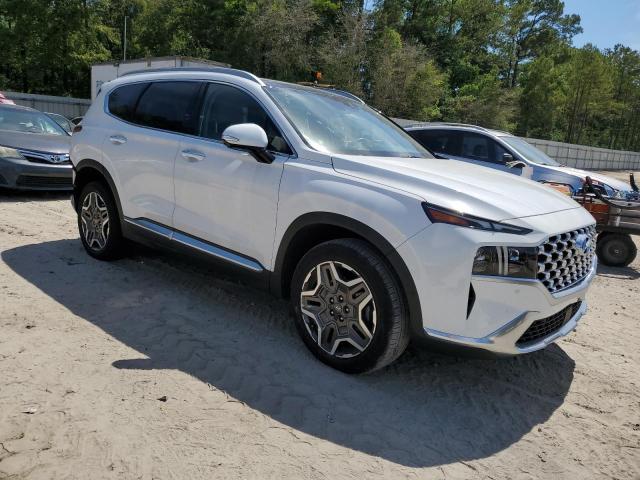 2023 HYUNDAI SANTA FE L 5NMS44AL6PH609813