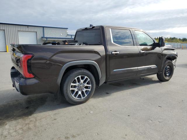 Vin: 5tfmc5db9nx002989, lot: 56206215, toyota tundra crewmax platinum 20223