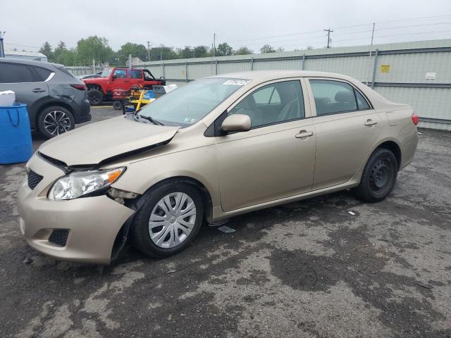Vin: 1nxbu4ee5az336144, lot: 57042125, toyota corolla base 2010 img_1