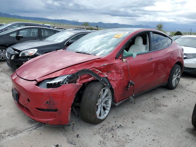 Vin: 5yjygdeexmf175180, lot: 55167345, tesla model y 2021 img_1