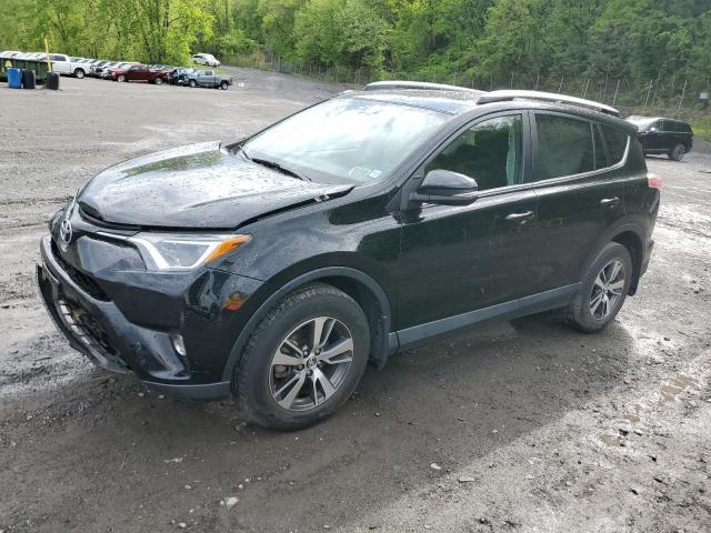 Vin: 2t3rfrev4gw529035, lot: 56036225, toyota rav4 xle 2016 img_1