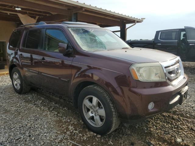 Vin: 5fnyf3h62bb036045, lot: 56520925, honda pilot exl 20114