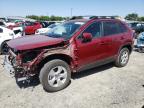 2019 TOYOTA RAV4 XLE - 2T3RWRFV8KW019732