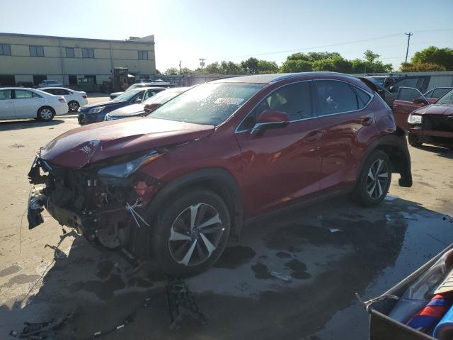 LEXUS NX 300 BAS
