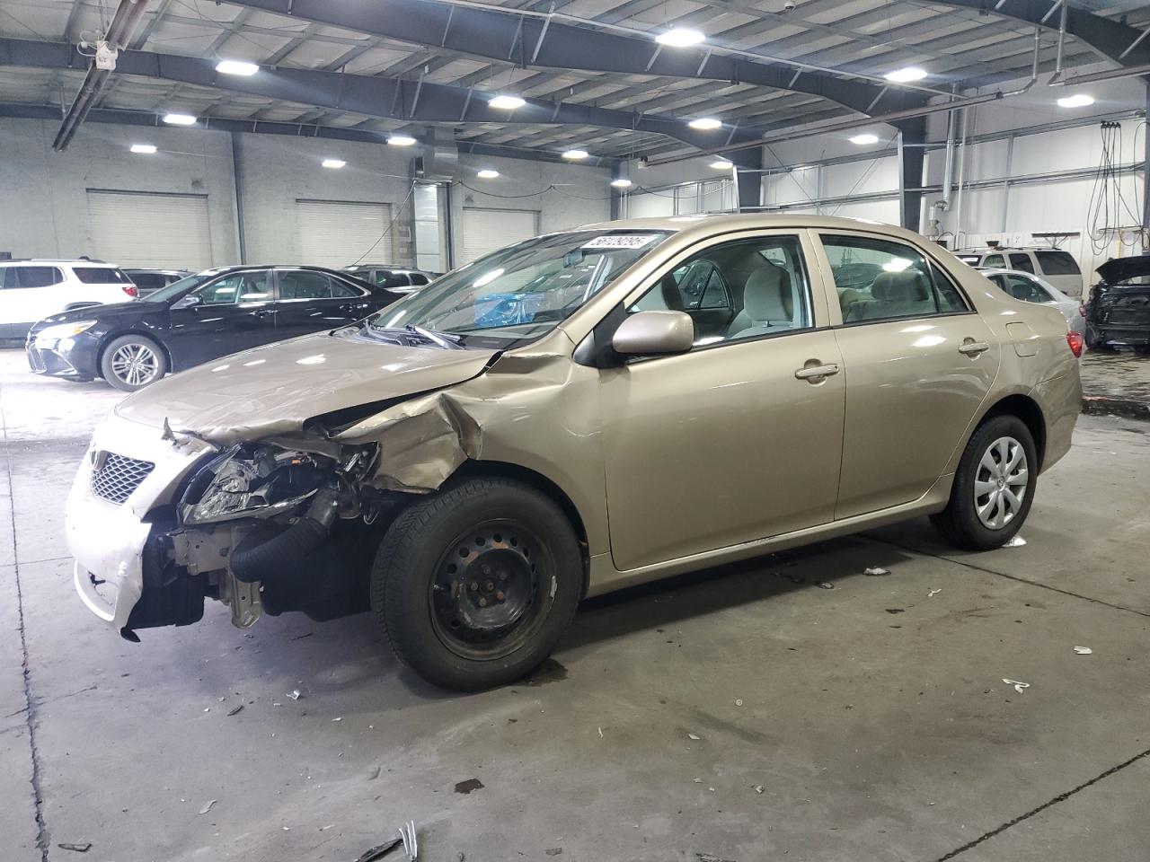 TOYOTA COROLLA BASE