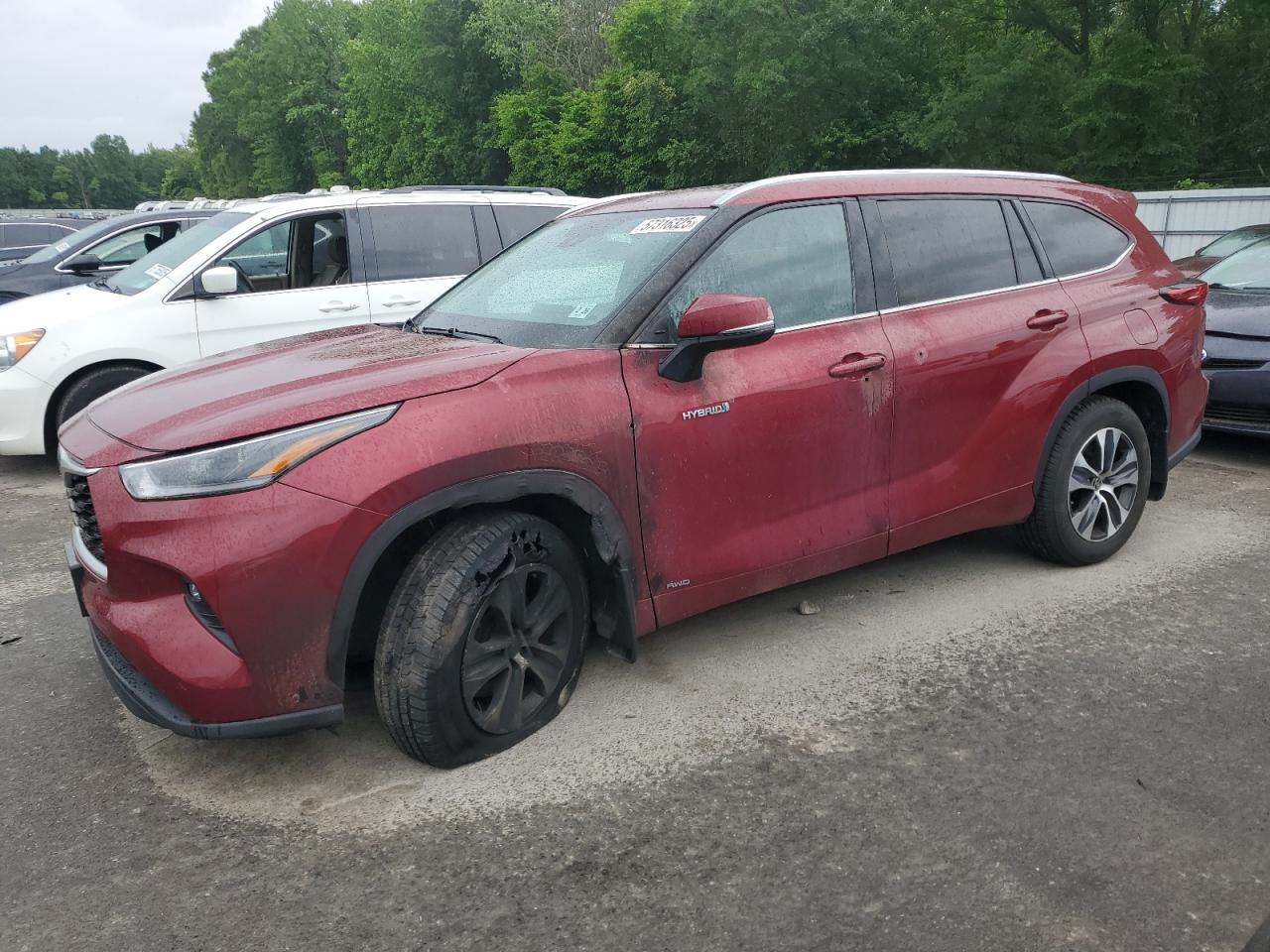 TOYOTA HIGHLANDER HYBRID XLE